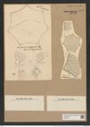 Triceratium schmidtii var. pustulatum (de-Toni-Nr.: Genus 139, Species 3705*) Zeichnungen Sammlung Grunow Nr. 7186 (NHMW-BOT-W0376167)
